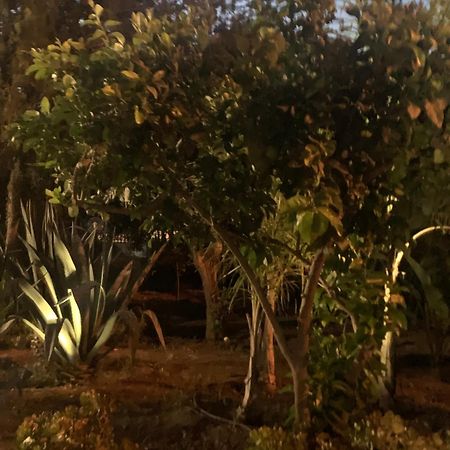Casa Vacanze Astori Trabia Ngoại thất bức ảnh